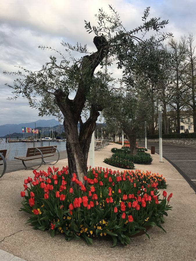 Caba Holiday Bardolino D'Annunzio エクステリア 写真